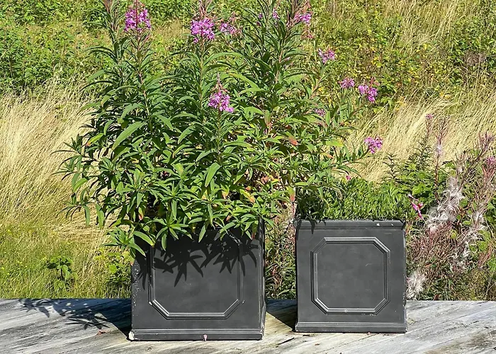 Feriehus 2 Bedroom Gorgeous In Vegårshei